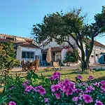 招待所 Garden - Rural