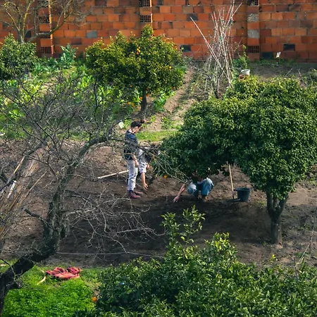 Garden - Rural