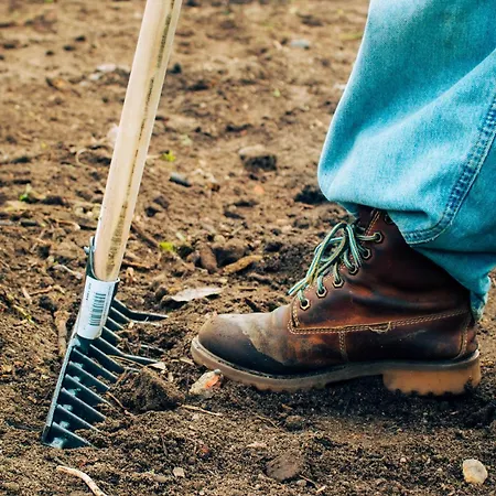 Garden - Rural Montijo