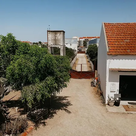 Garden - Pensión Montijo